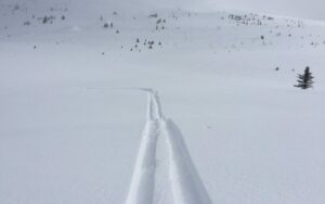 Off-Piste-Skifahren