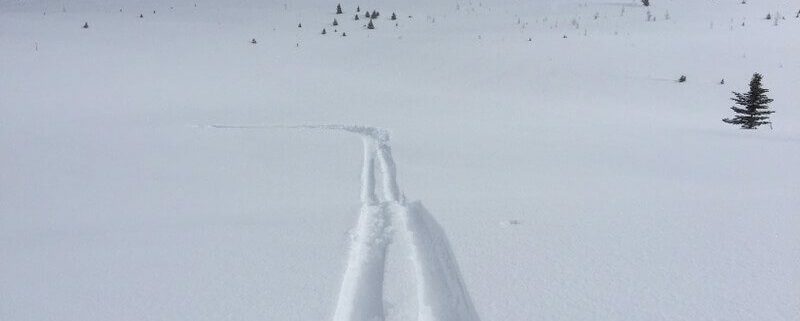 Off-Piste-Skifahren