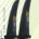 SELECT Fin EDGE