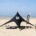 Beachtent Mystic<br><small></small>