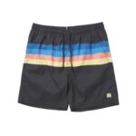 Stripe Swim Boardshort<br><small></small>