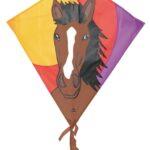 Eddy Bronco<br><small>68 x 68cm</small>