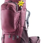Aviant Voyager 60+10 SL