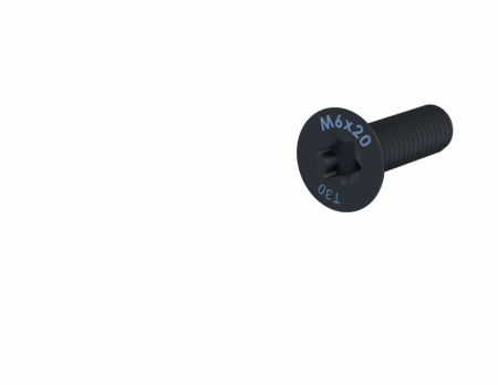 ENSIS MANIAC Screws M6
