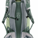 Trail 24